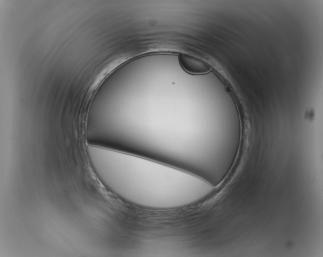 X0000113611145200909181045