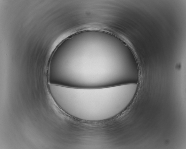 X0000113611146200909181045
