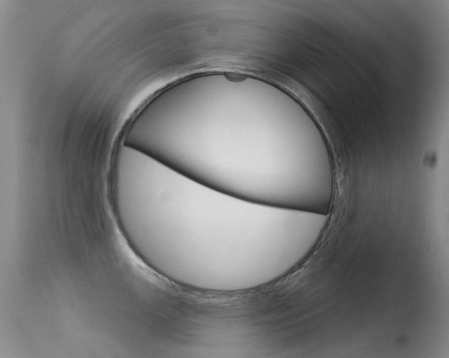 X0000113611147200909181045