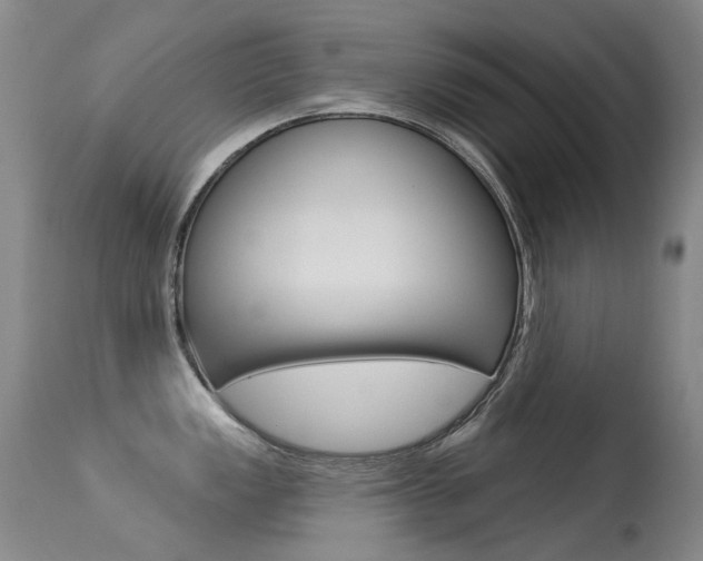 X0000113611149200909181045