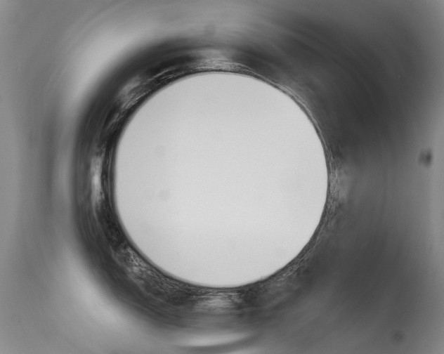 X0000113611150200909181045