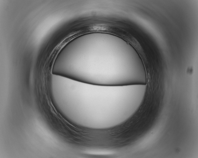X0000113611151200909181045