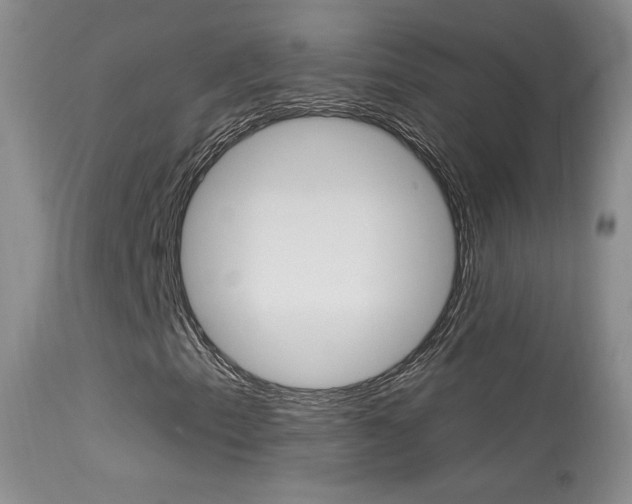 X0000113611153200909181045