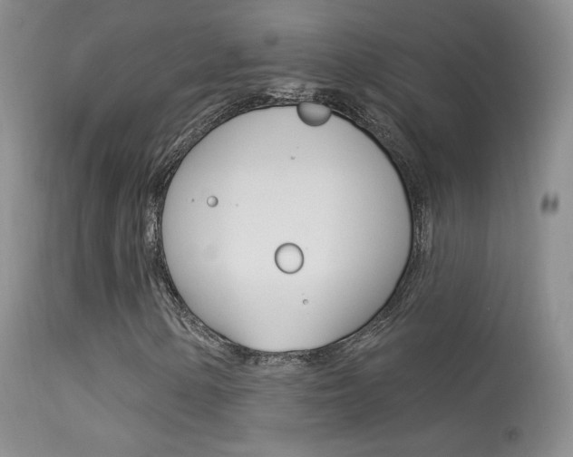 X0000113611154200909181045