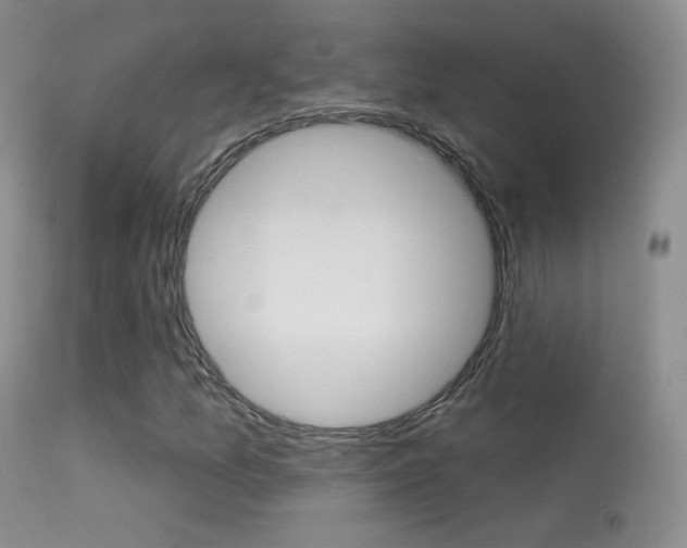X0000113611157200909181044