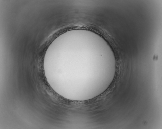 X0000113611158200909181044