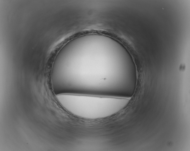 X0000113611159200909181044