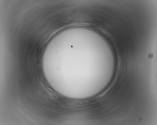 X0000113611161200909181044