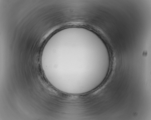 X0000113611162200909181044