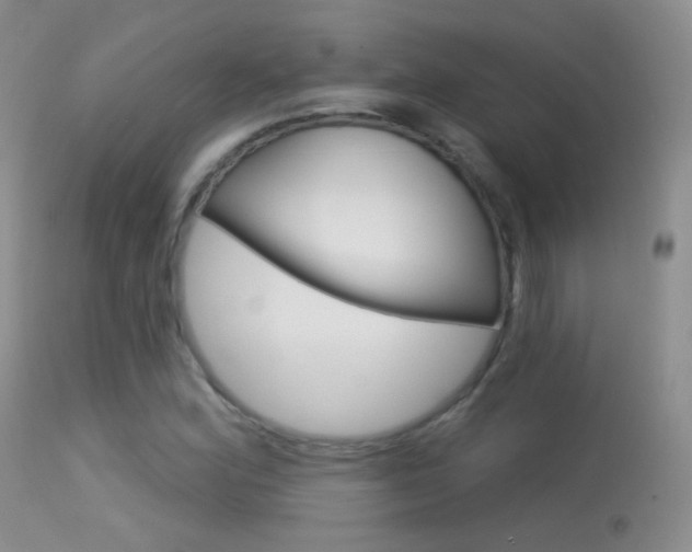 X0000113611164200909181044