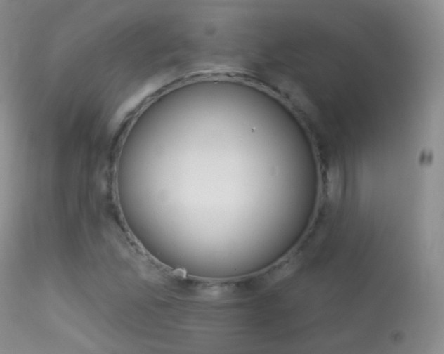 X0000113611165200909181044