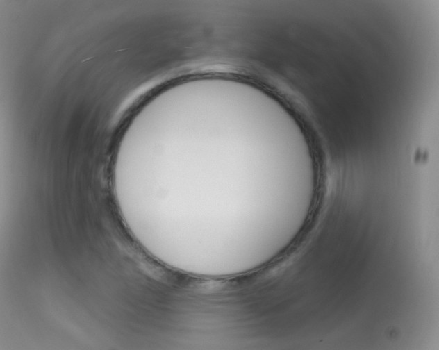 X0000113611166200909181044