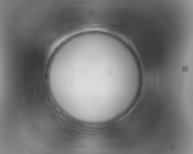 X0000113611167200909181044