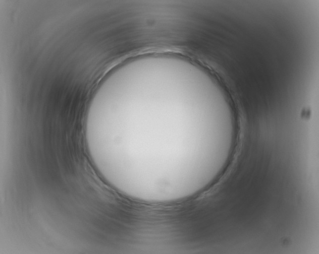 X0000113611169200909181044