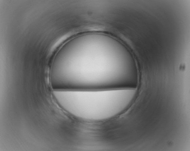 X0000113611171200909181044