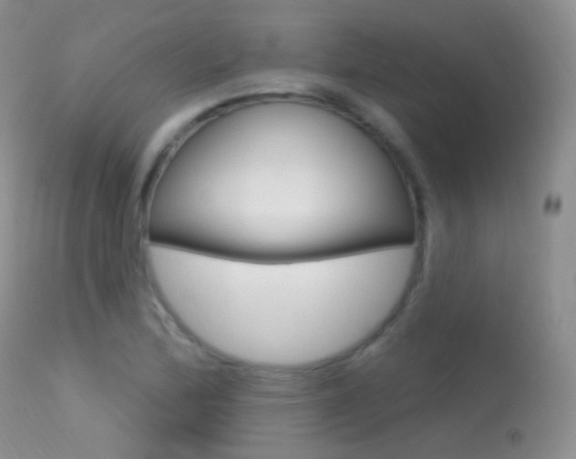 X0000113611172200909181044