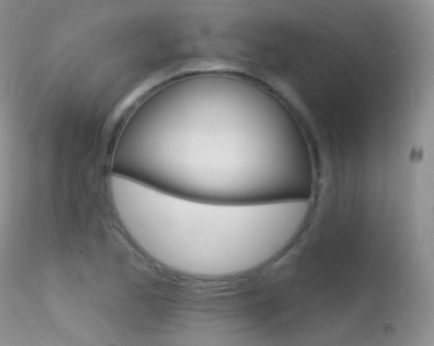 X0000113611173200909181044