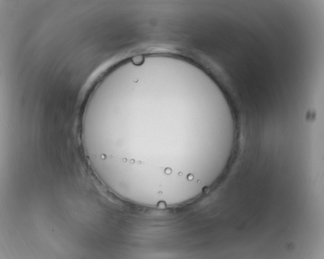 X0000113611174200909181044