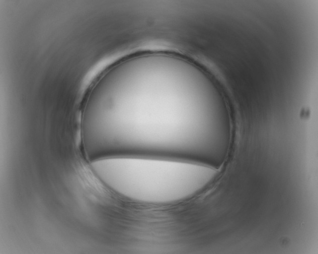 X0000113611175200909181044