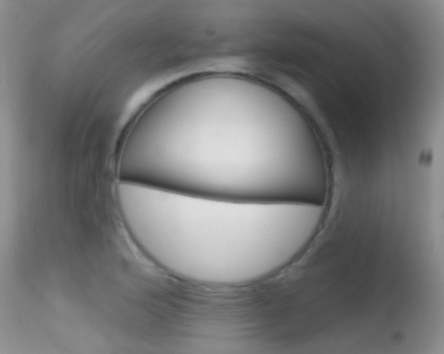 X0000113611176200909181044