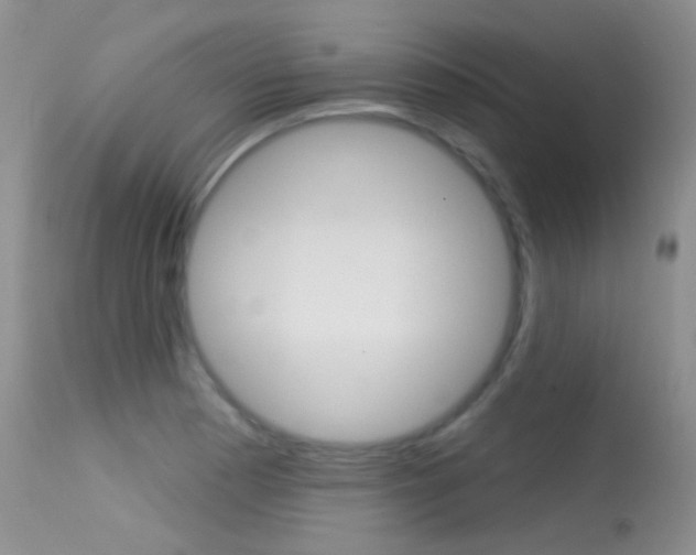 X0000113611177200909181044