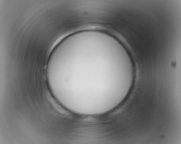X0000113611178200909181044