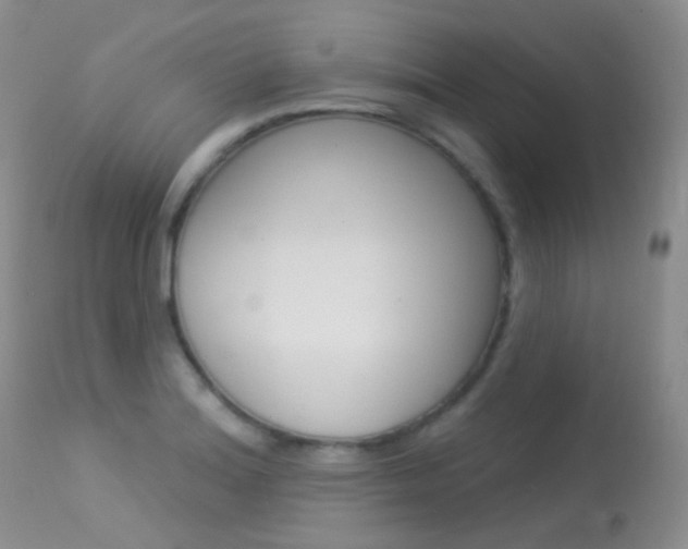 X0000113611180200909181044