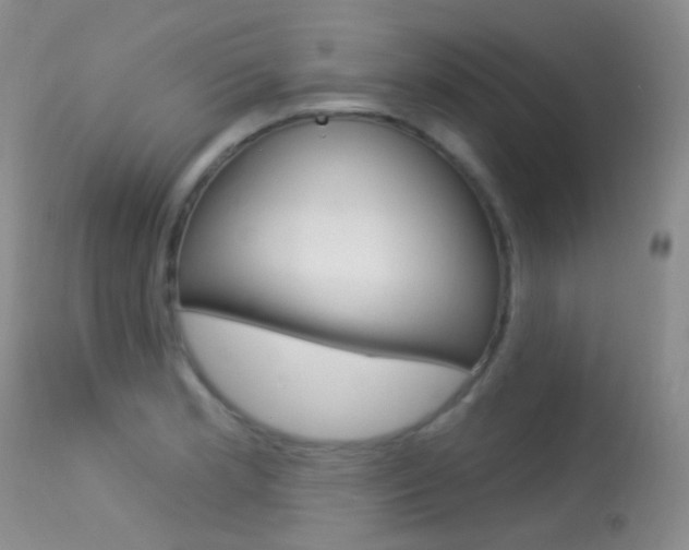 X0000113611181200909181044