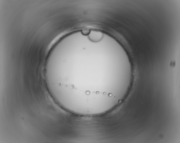 X0000113611182200909181044