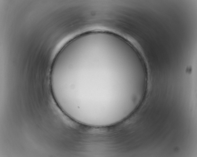 X0000113611183200909181044