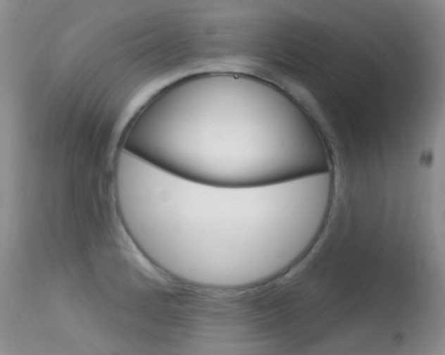 X0000113611184200909181044