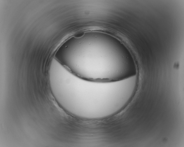 X0000113611185200909181044