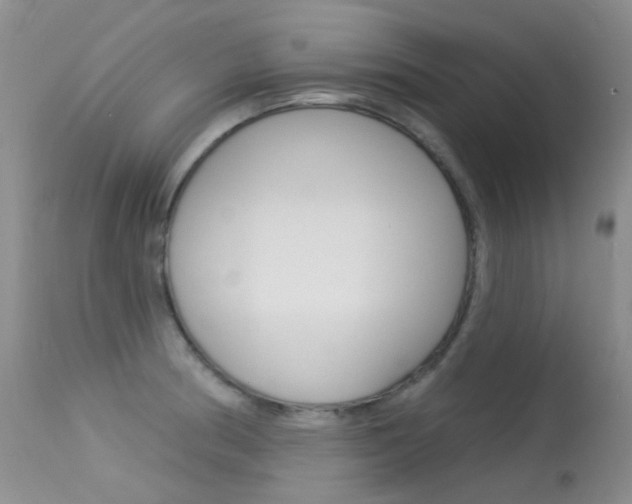 X0000113611186200909181044