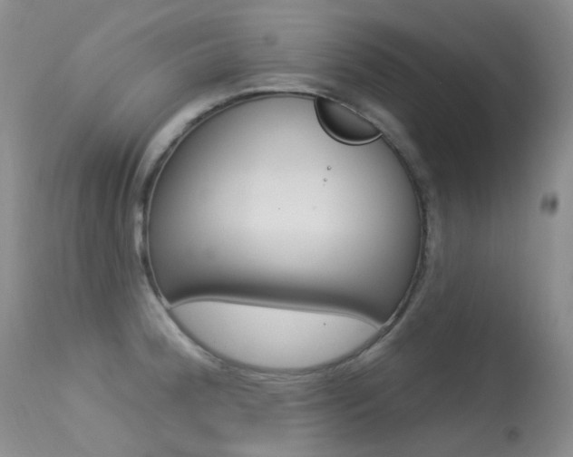 X0000113611188200909181044