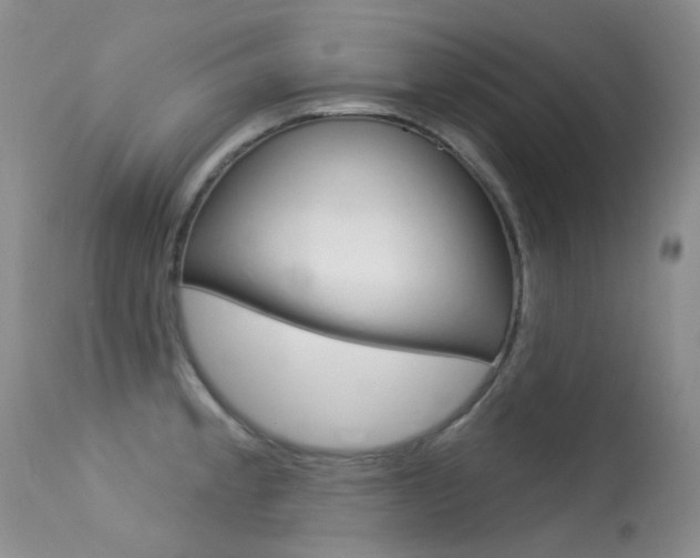 X0000113611189200909181044