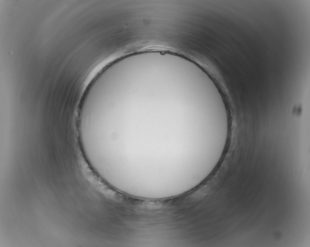 X0000113611190200909181044