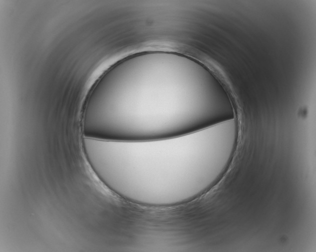 X0000113611192200909181044