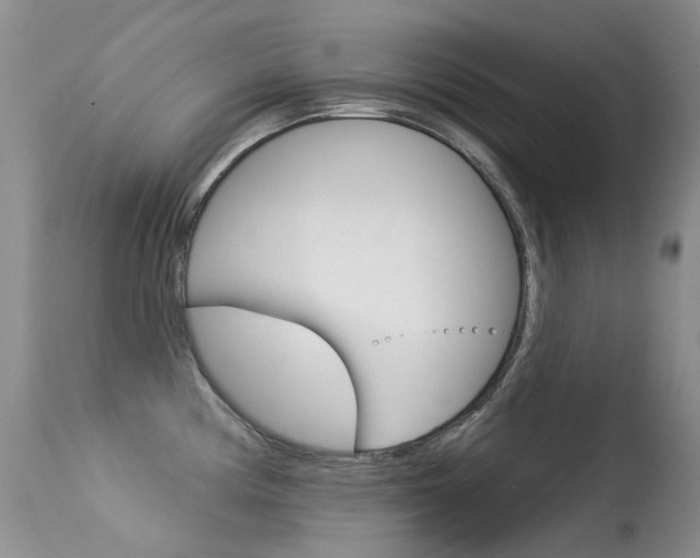 X0000113611194200909181044