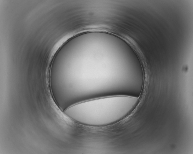 X0000113611196200909181044