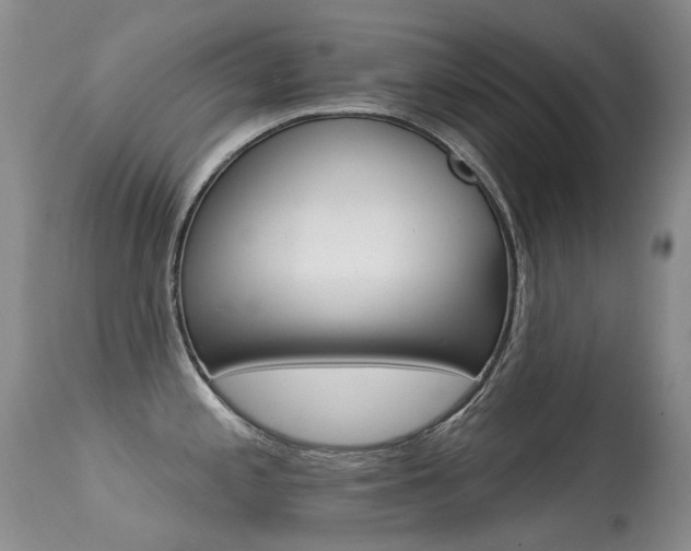 X0000113611197200909181044