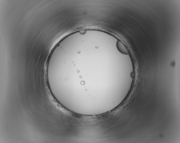 X0000113611198200909181044