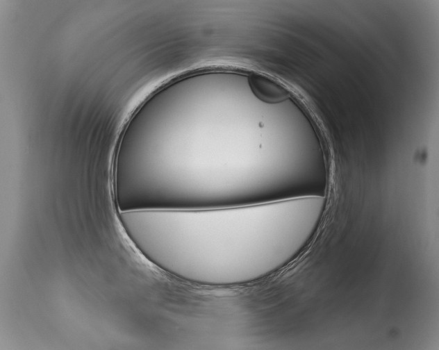 X0000113611199200909181044