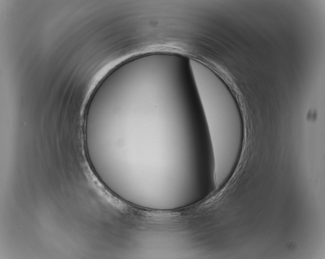 X0000113611200200909181044