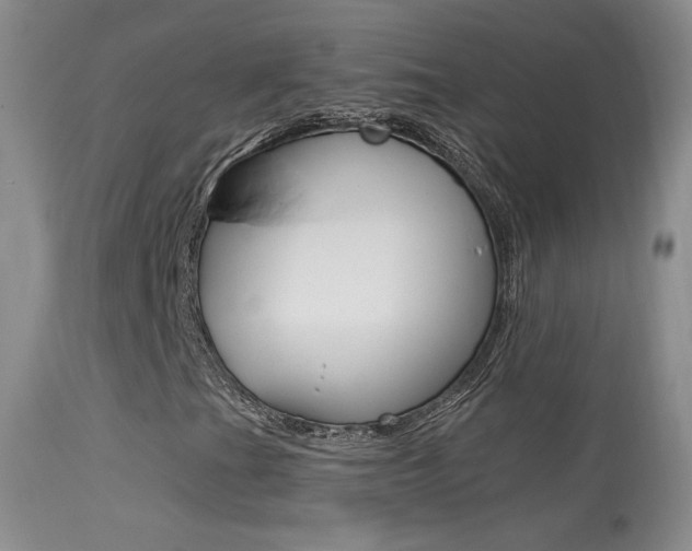 X0000113611201200909181043