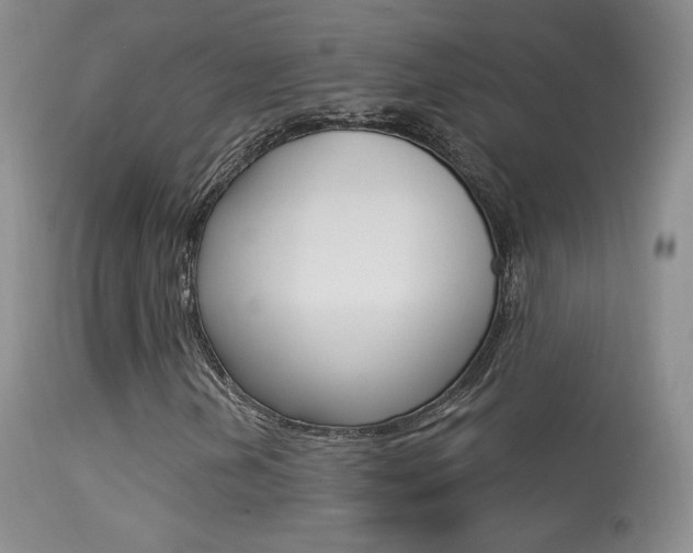 X0000113611202200909181043