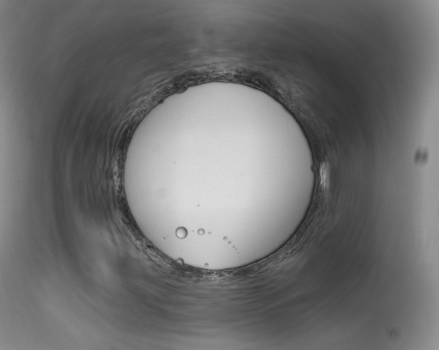X0000113611203200909181043