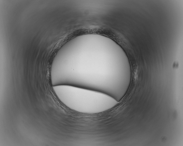 X0000113611204200909181043
