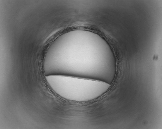 X0000113611206200909181043