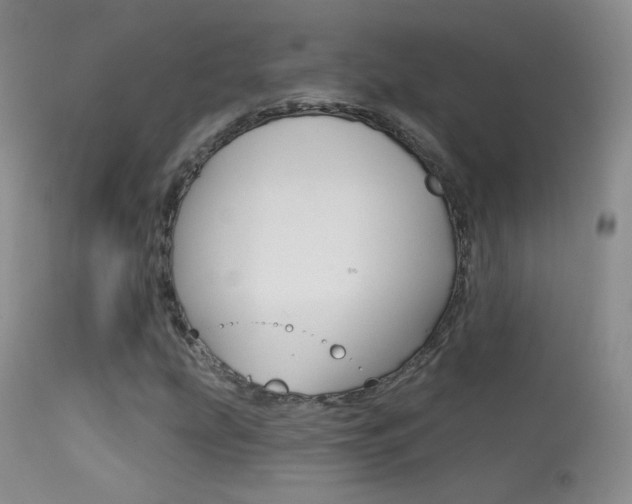 X0000113611207200909181043