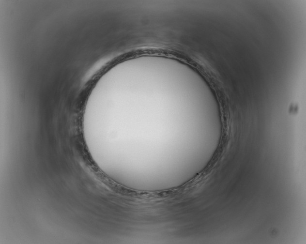 X0000113611208200909181043